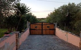 Villa Relax Tra Gli Ulivi