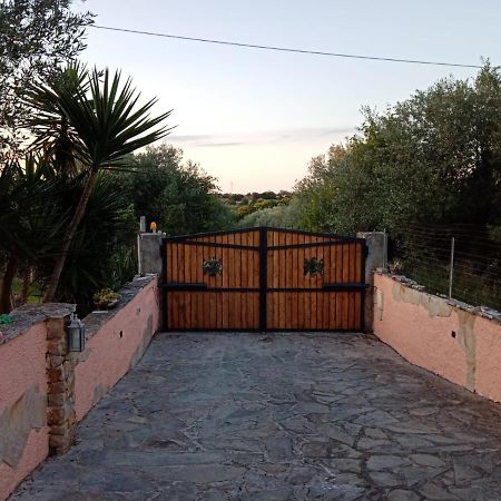 Villa Relax Tra Gli Ulivi Alghero Extérieur photo