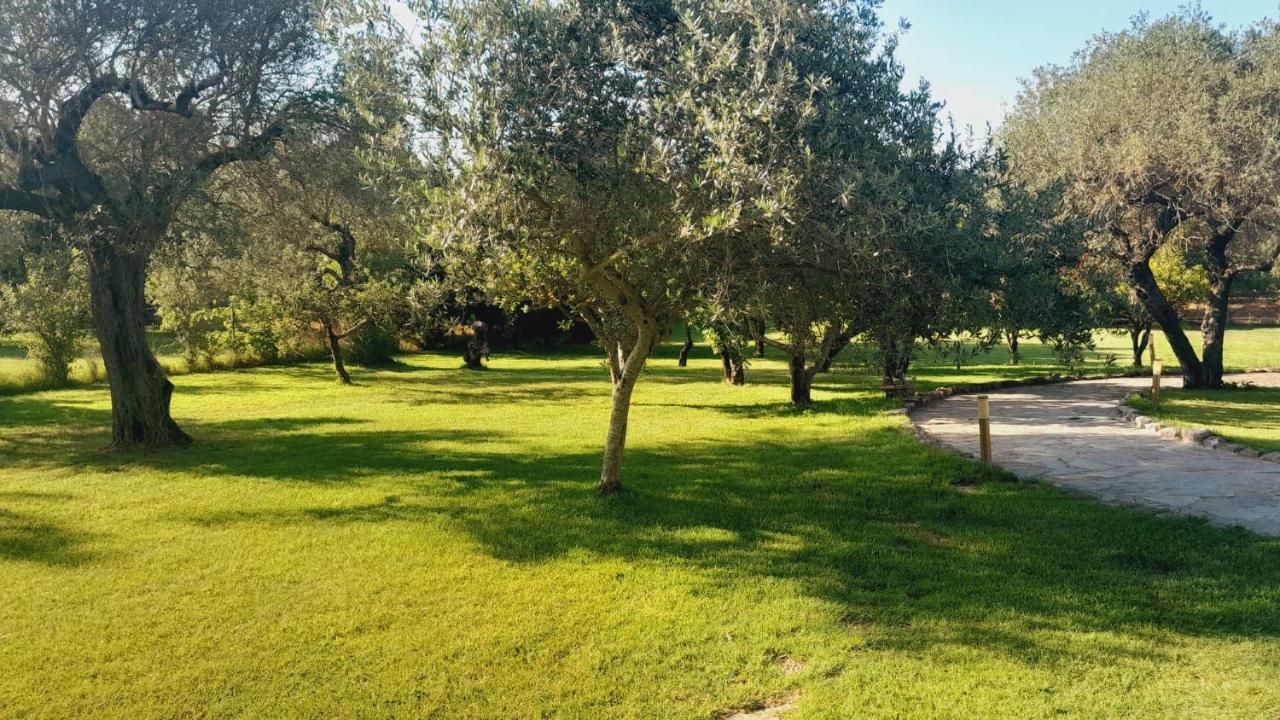 Villa Relax Tra Gli Ulivi Alghero Extérieur photo